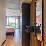 The Base